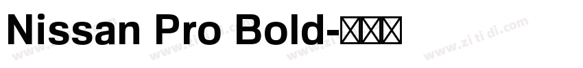 Nissan Pro Bold字体转换